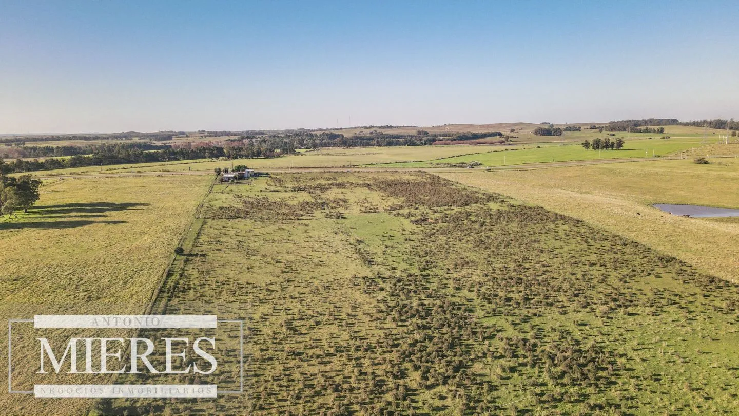 Chacra / Campo 7,4 ha en Maldonado — foto 12