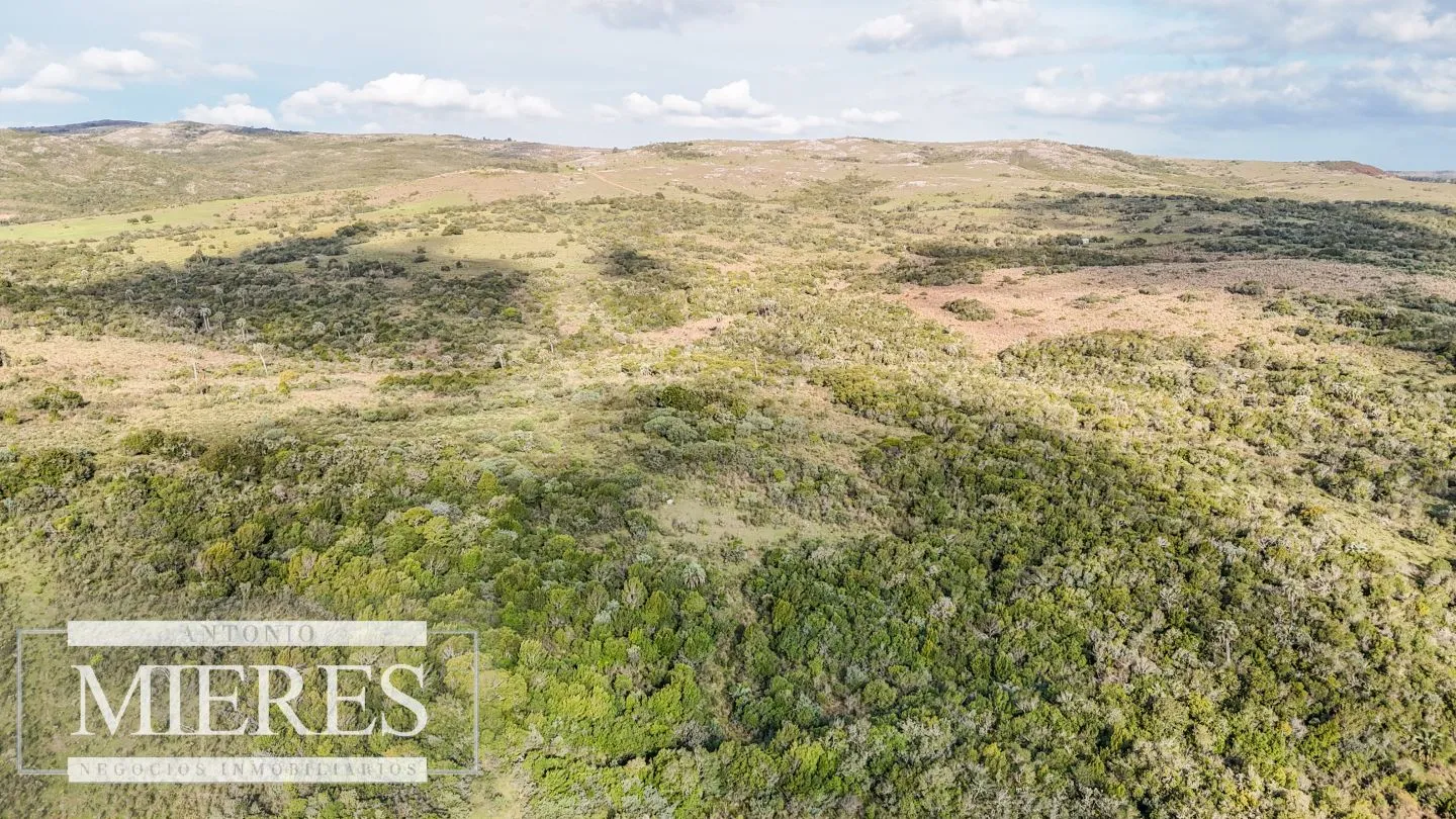 Campo en venta de 130 ha en Maldonado Uruguay — foto 19