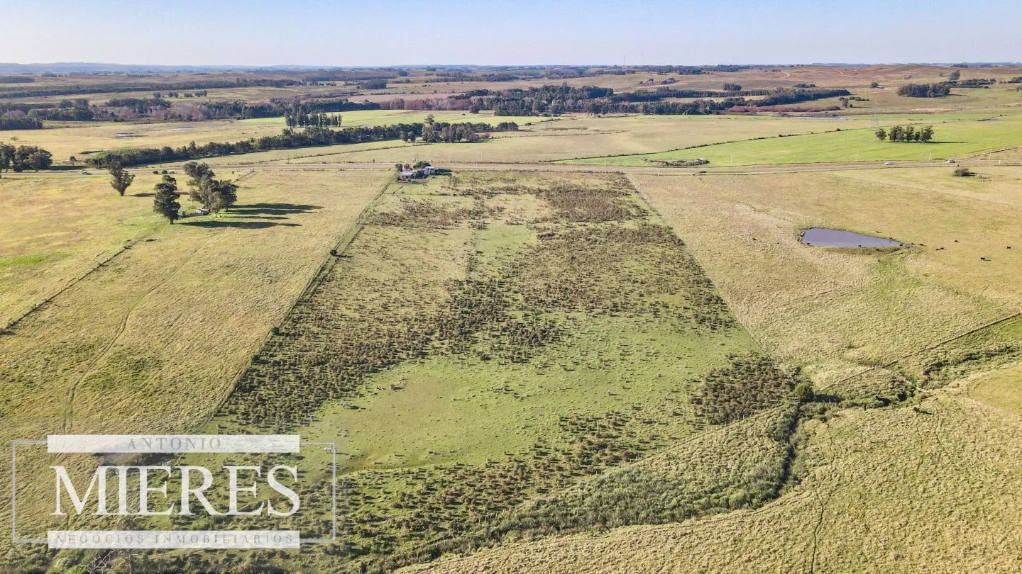 Chacra / Campo 7,4 ha en Maldonado — foto 13