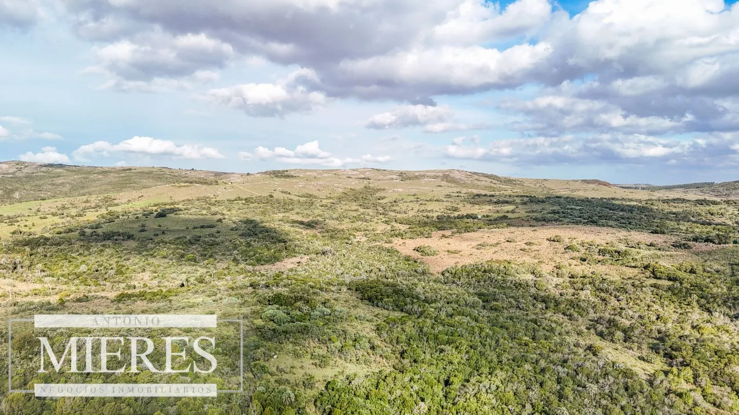Campo en venta de 130 ha en Maldonado Uruguay — foto 20