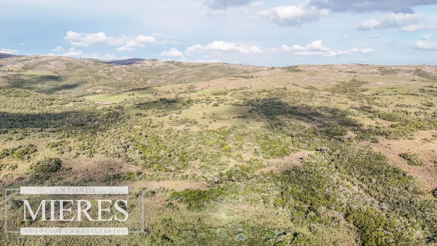 Campo en venta de 130 ha en Maldonado Uruguay — foto 21