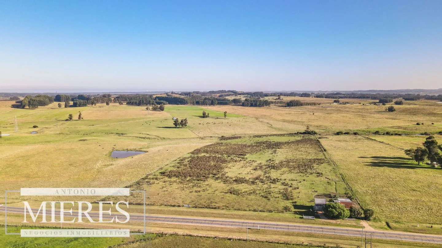 Chacra / Campo 7,4 ha en Maldonado — foto 14