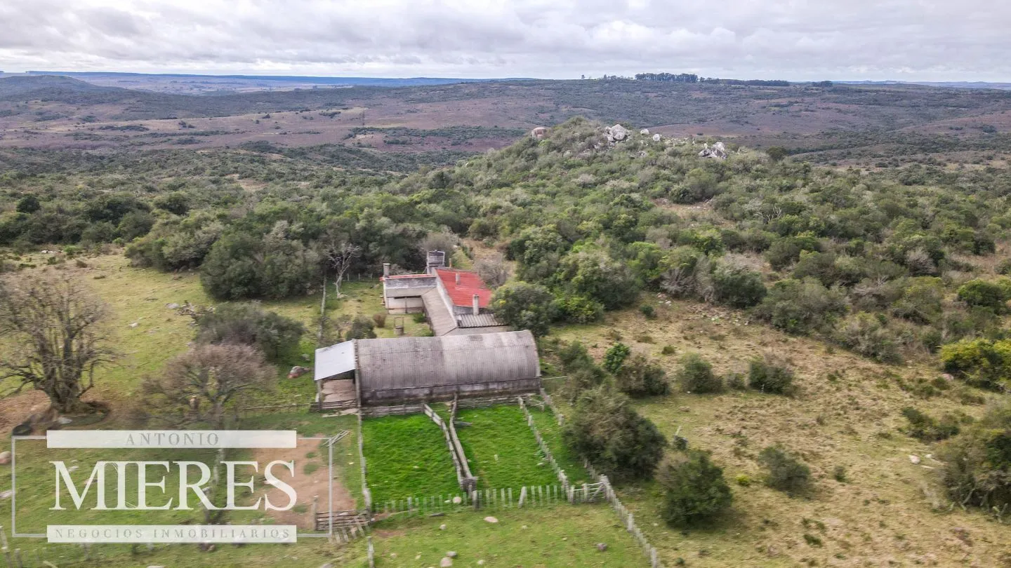 Estancia completa de 2400ha en Treinta y Tres y Cerro Largo — foto 2