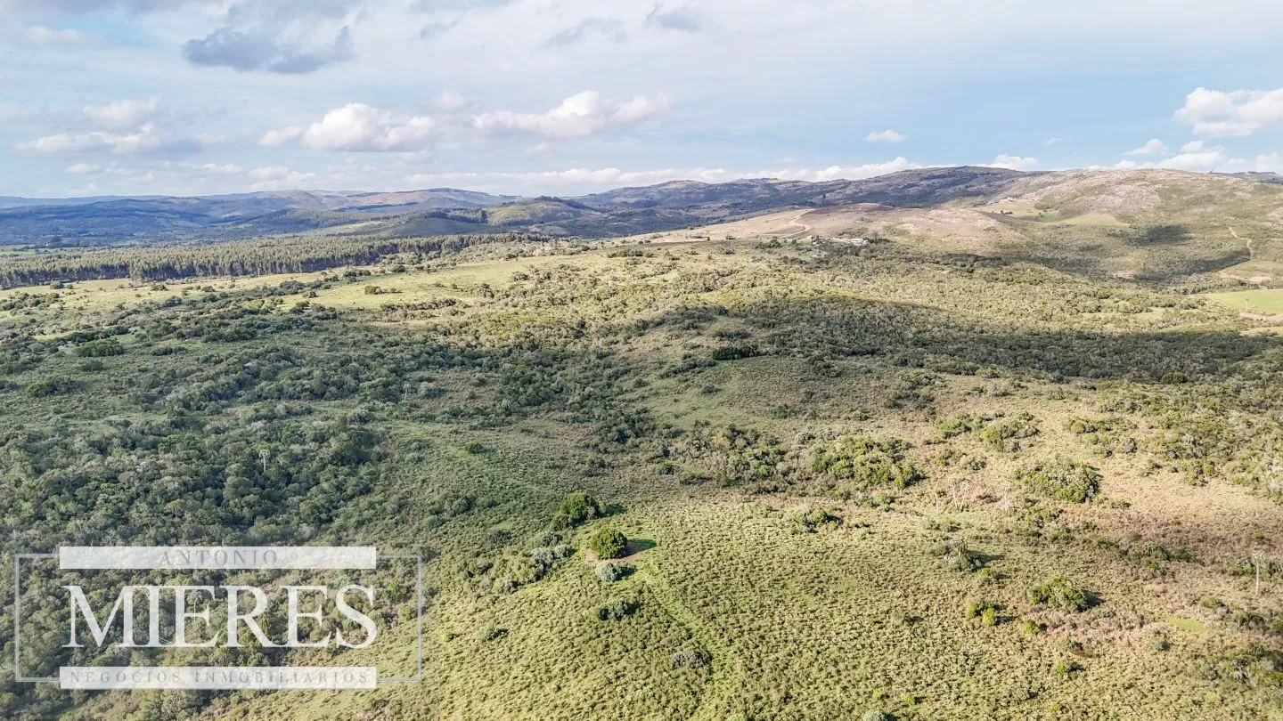 Campo en venta de 130 ha en Maldonado Uruguay — foto 22