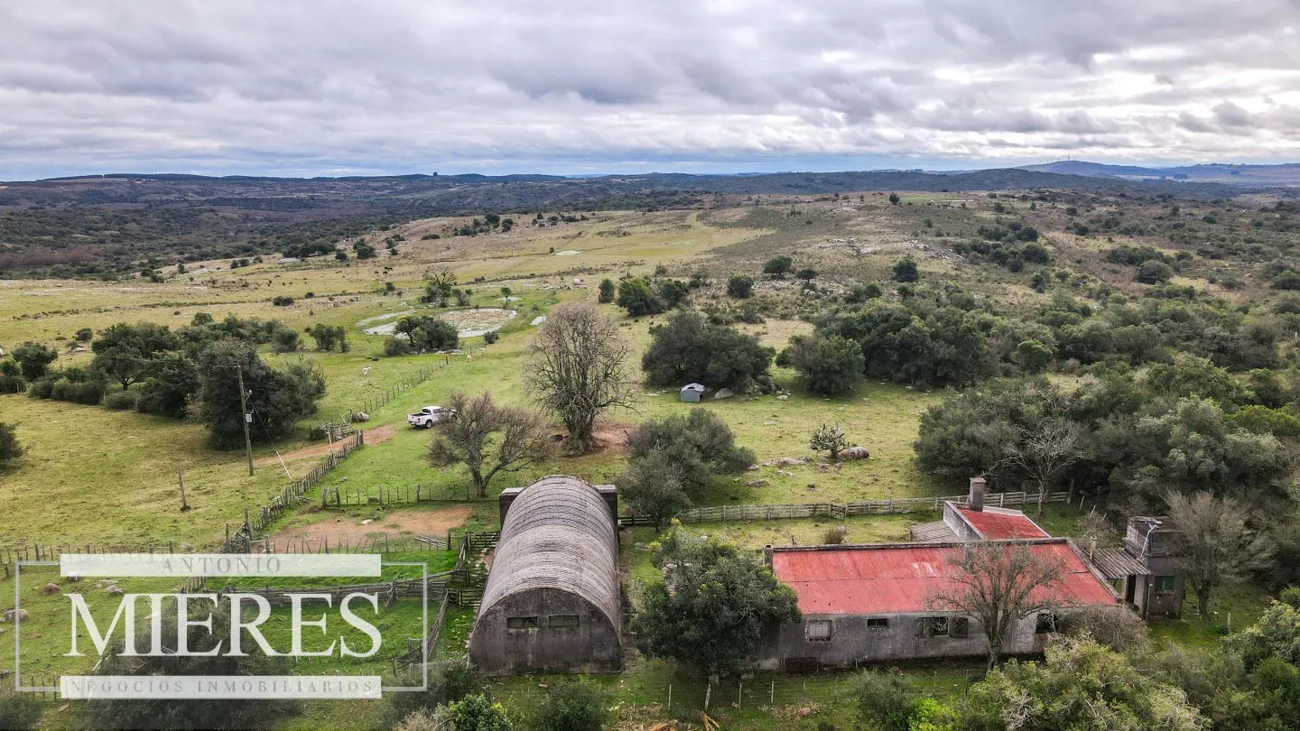 Estancia completa de 2400ha en Treinta y Tres y Cerro Largo — foto 3