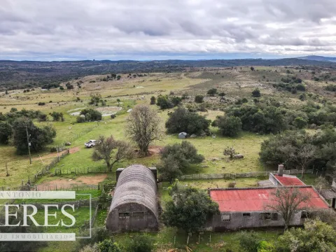 Estancia completa de 2400ha en Treinta y Tres y Cerro Largo — foto 3