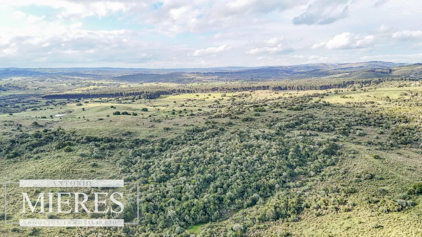 Campo en venta de 130 ha en Maldonado Uruguay — foto 23