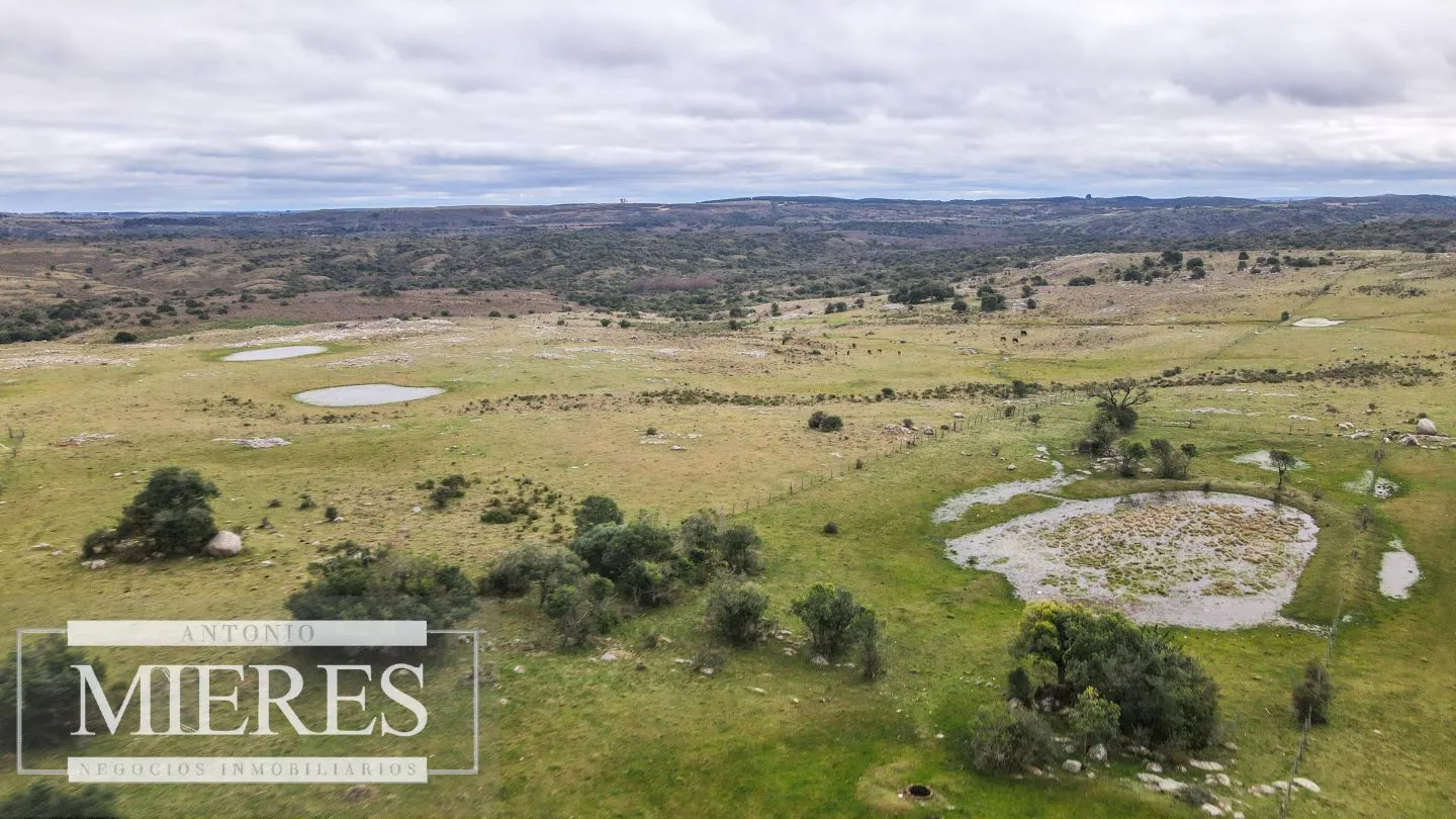 Estancia completa de 2400ha en Treinta y Tres y Cerro Largo — foto 4