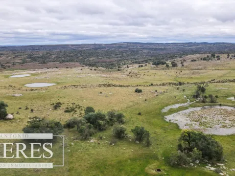 Estancia completa de 2400ha en Treinta y Tres y Cerro Largo — foto 4