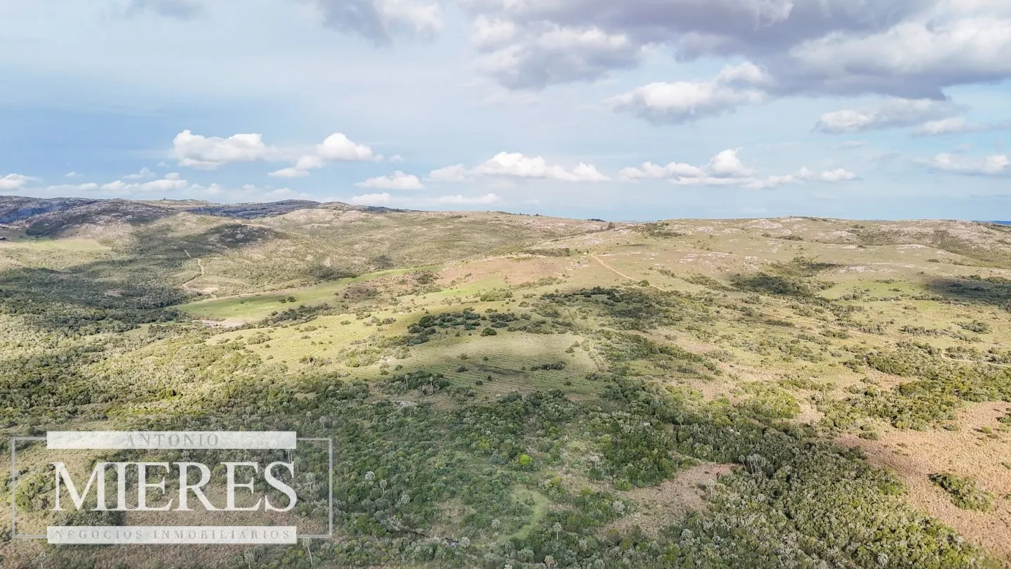 Campo en venta de 130 ha en Maldonado Uruguay — foto 24