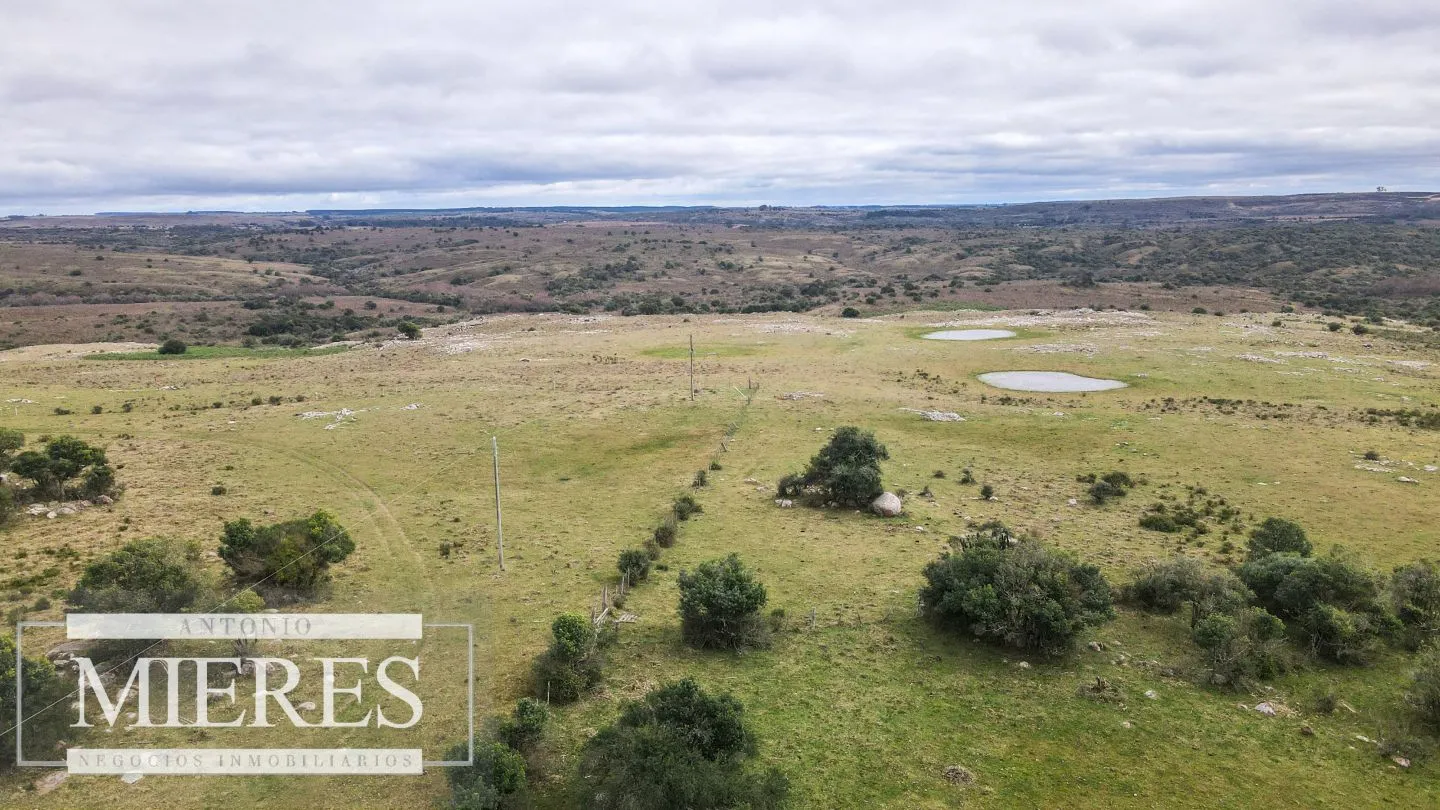Estancia completa de 2400ha en Treinta y Tres y Cerro Largo — foto 5