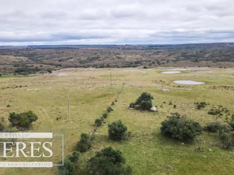 Estancia completa de 2400ha en Treinta y Tres y Cerro Largo — foto 5