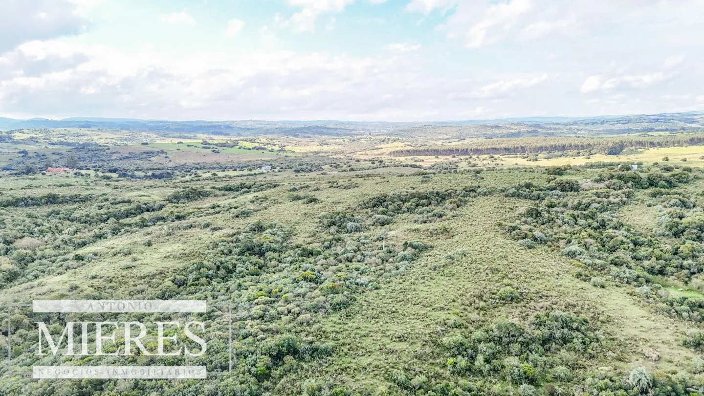 Campo en venta de 130 ha en Maldonado Uruguay — foto 25