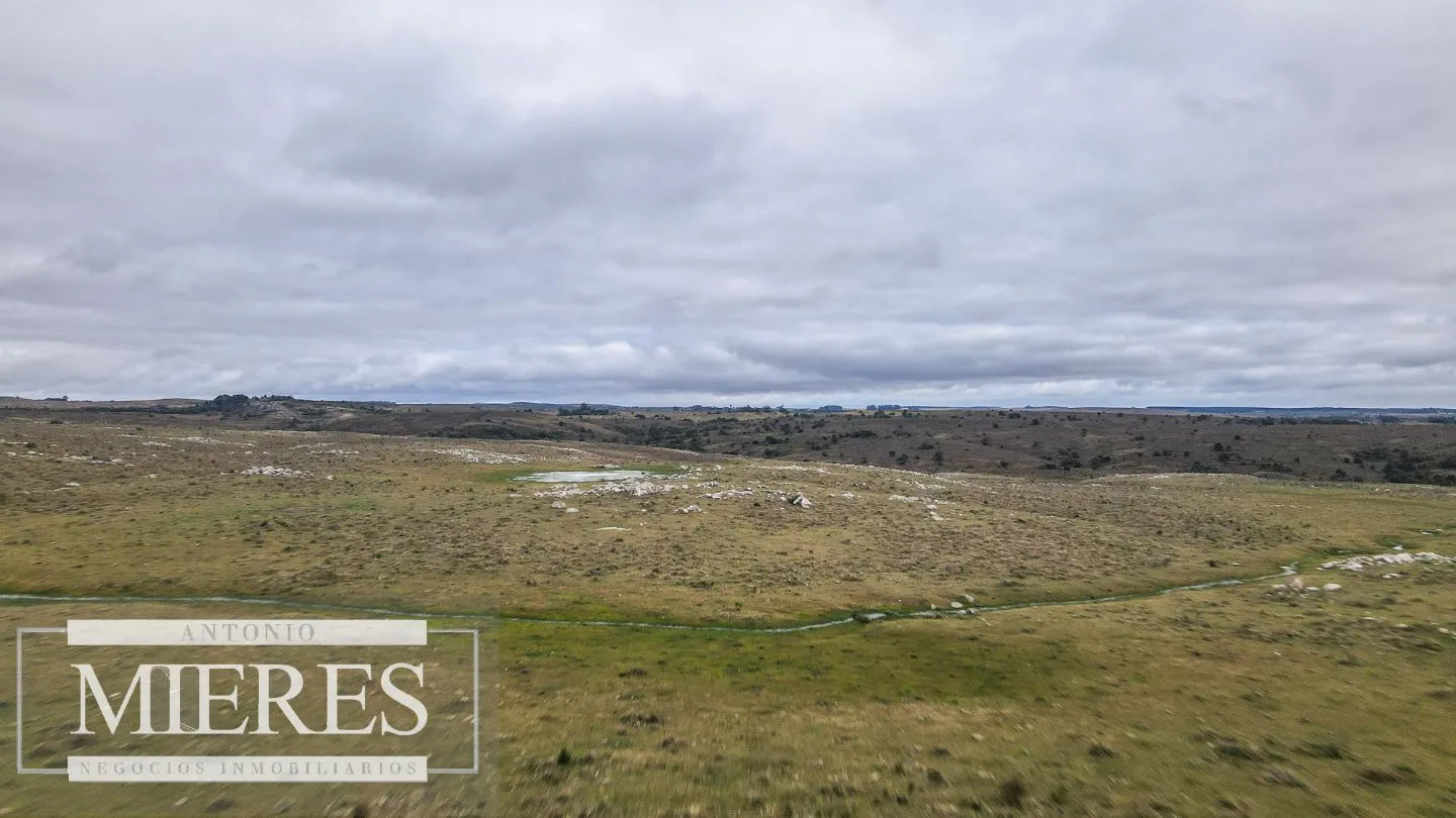 Estancia completa de 2400ha en Treinta y Tres y Cerro Largo — foto 6