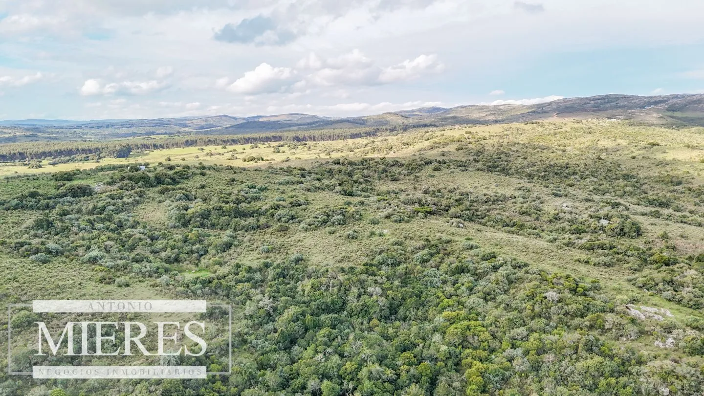Campo en venta de 130 ha en Maldonado Uruguay — foto 26