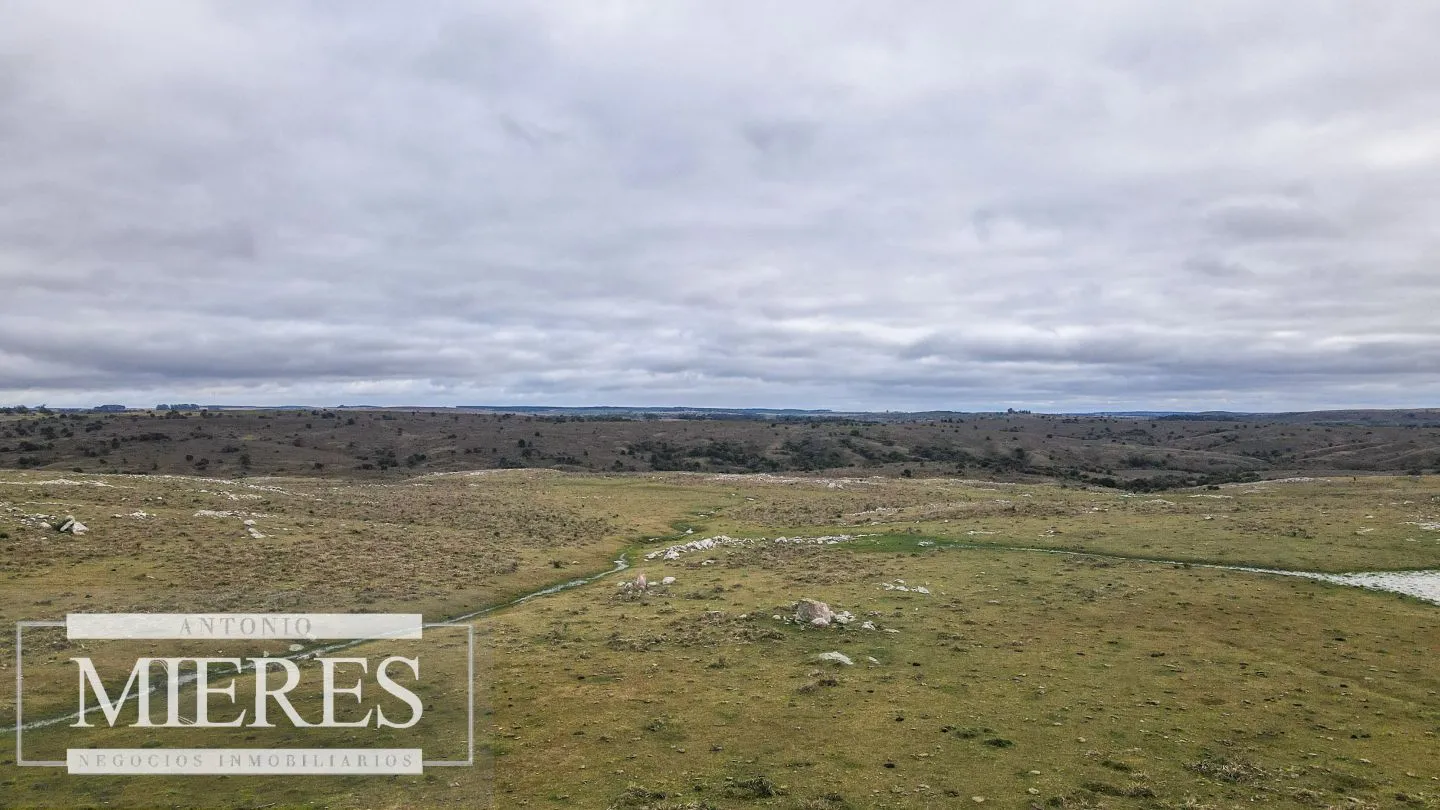 Estancia completa de 2400ha en Treinta y Tres y Cerro Largo — foto 7