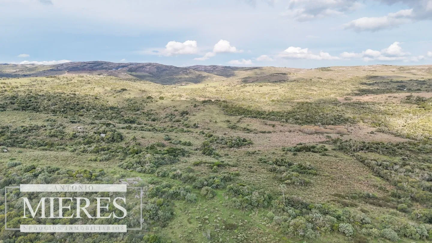 Campo en venta de 130 ha en Maldonado Uruguay — foto 27