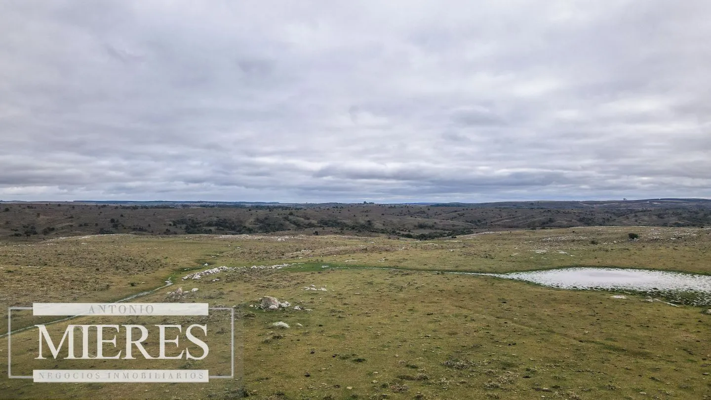 Estancia completa de 2400ha en Treinta y Tres y Cerro Largo — foto 8
