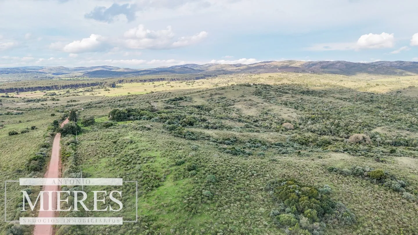Campo en venta de 130 ha en Maldonado Uruguay — foto 28