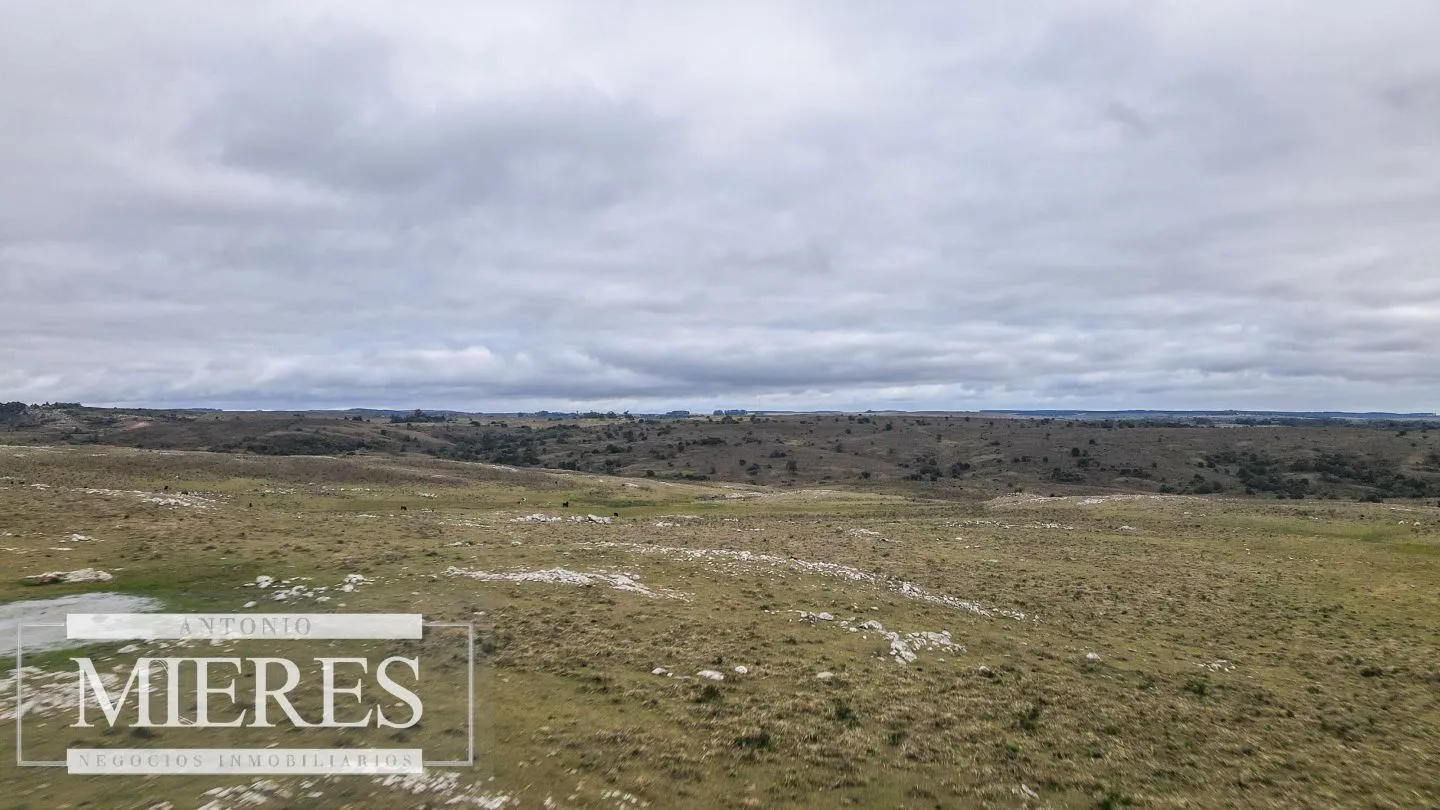 Estancia completa de 2400ha en Treinta y Tres y Cerro Largo — foto 9