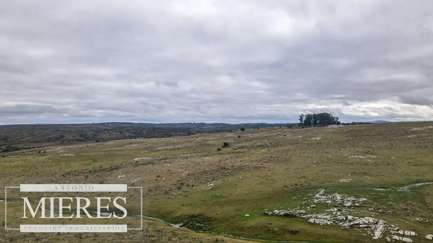Estancia completa de 2400ha en Treinta y Tres y Cerro Largo — foto 10