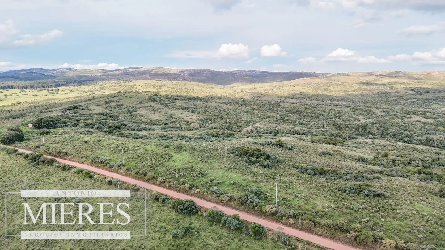 Campo en venta de 130 ha en Maldonado Uruguay — foto 29