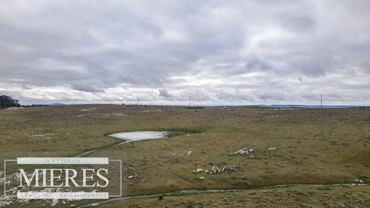 Estancia completa de 2400ha en Treinta y Tres y Cerro Largo — foto 11