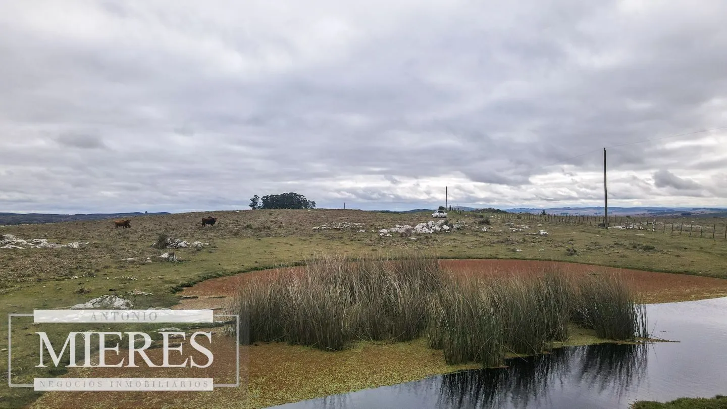 Estancia completa de 2400ha en Treinta y Tres y Cerro Largo — foto 12
