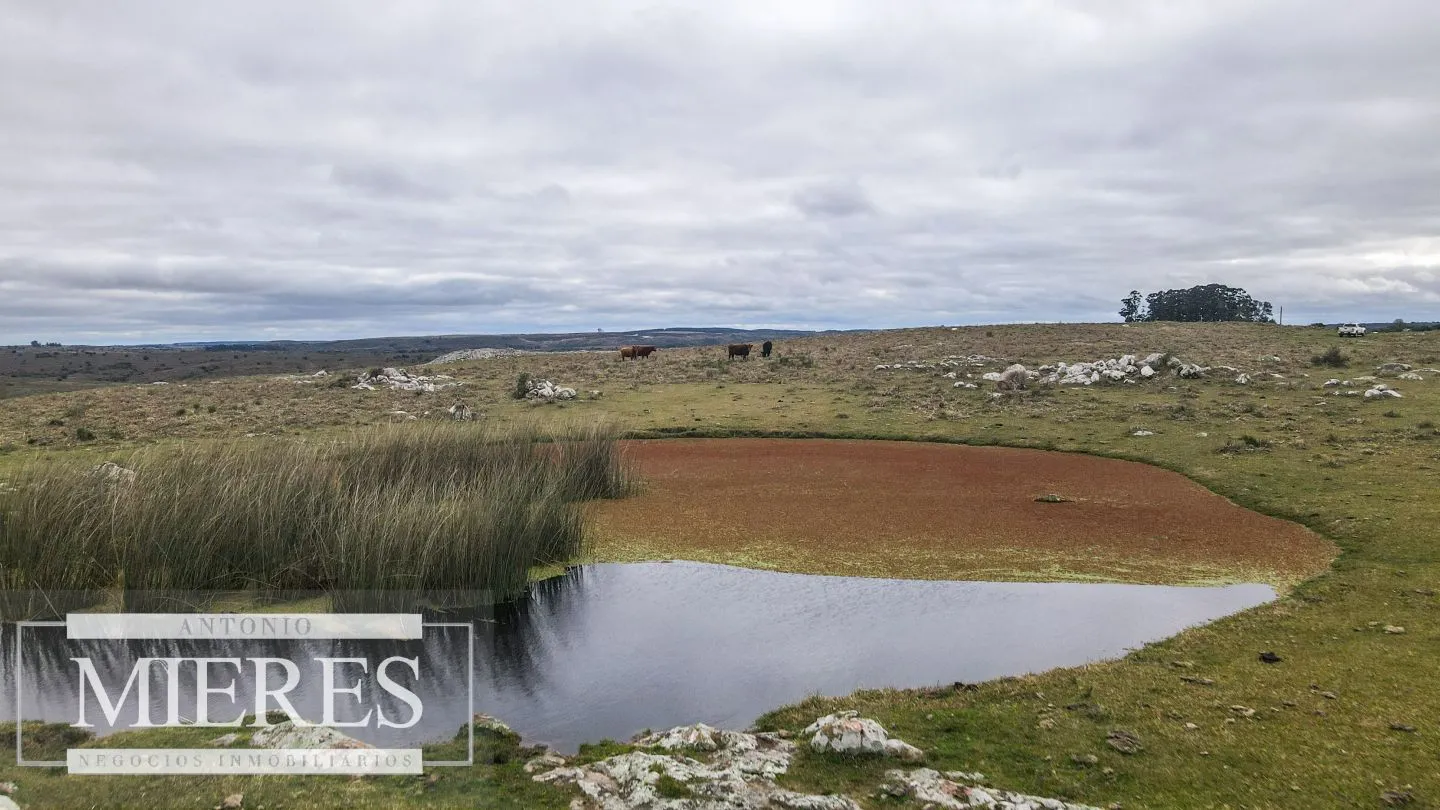Estancia completa de 2400ha en Treinta y Tres y Cerro Largo — foto 13