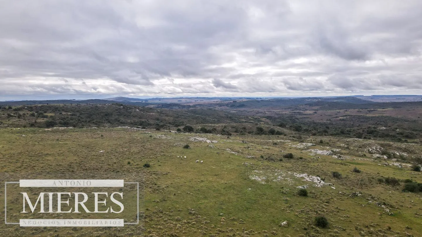 Estancia completa de 2400ha en Treinta y Tres y Cerro Largo — foto 14