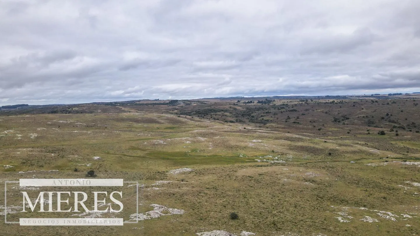Estancia completa de 2400ha en Treinta y Tres y Cerro Largo — foto 15