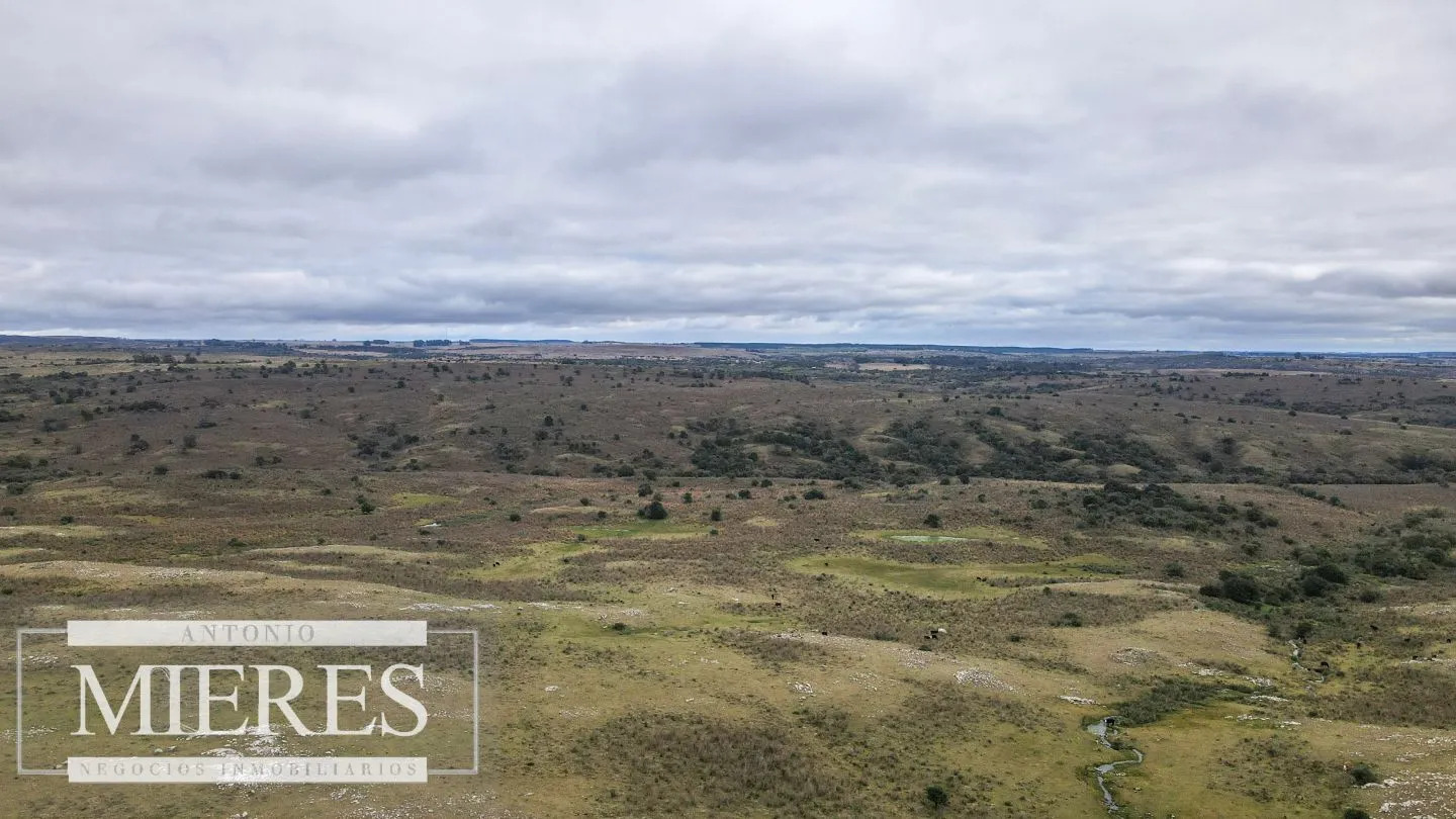 Estancia completa de 2400ha en Treinta y Tres y Cerro Largo — foto 16