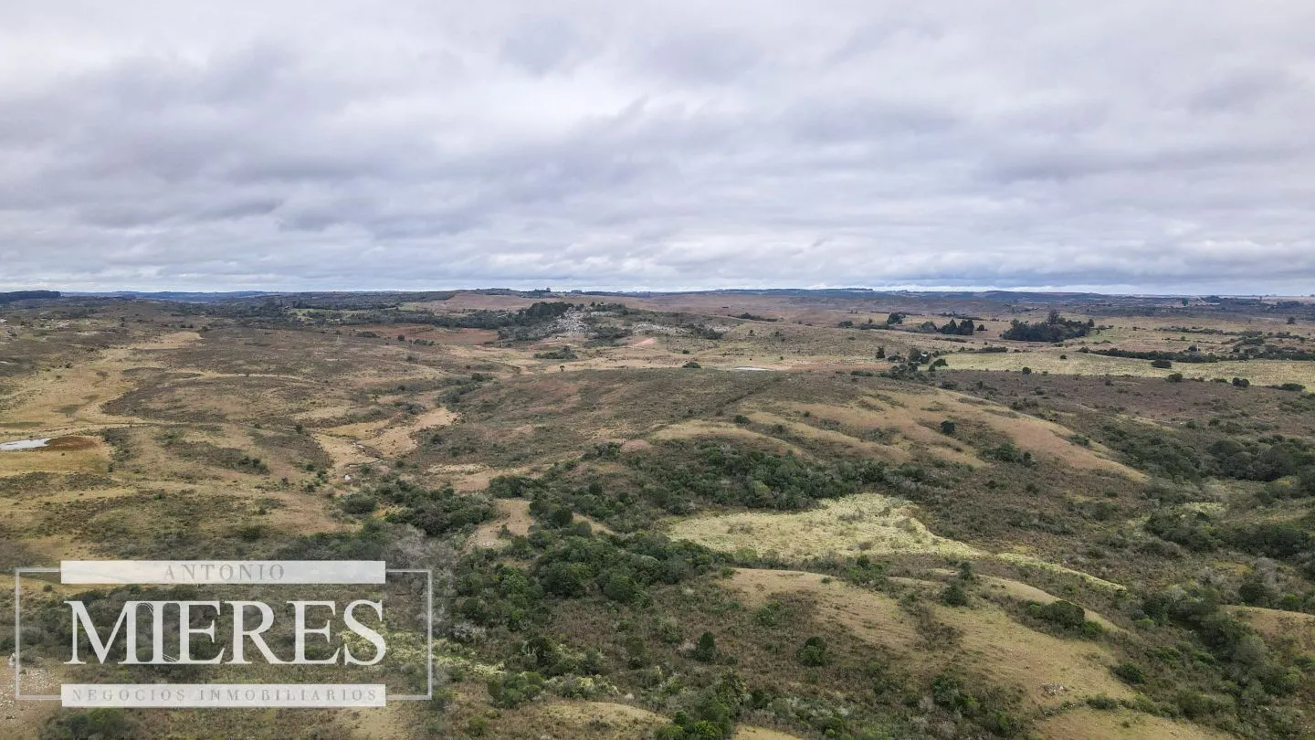 Estancia completa de 2400ha en Treinta y Tres y Cerro Largo — foto 17