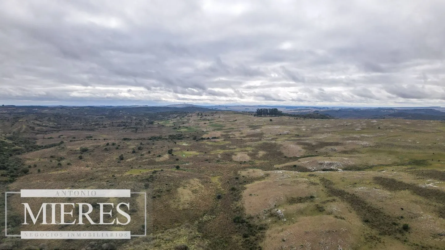 Estancia completa de 2400ha en Treinta y Tres y Cerro Largo — foto 18