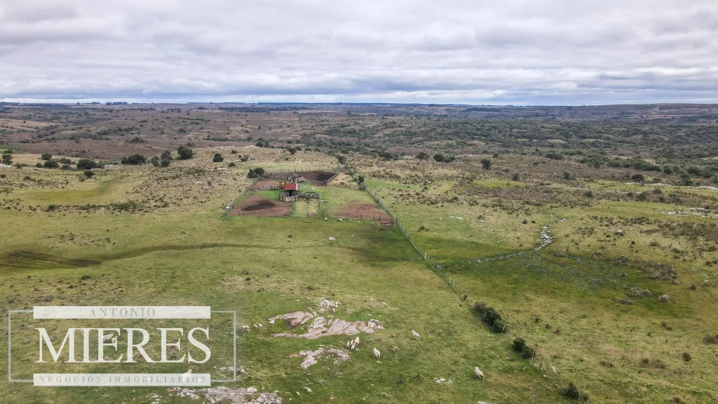 Estancia completa de 2400ha en Treinta y Tres y Cerro Largo — foto 19