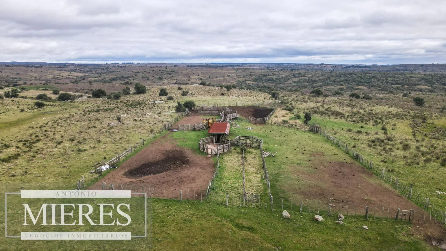 Estancia completa de 2400ha en Treinta y Tres y Cerro Largo — foto 20
