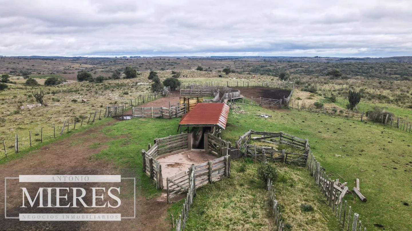 Estancia completa de 2400ha en Treinta y Tres y Cerro Largo — foto 21