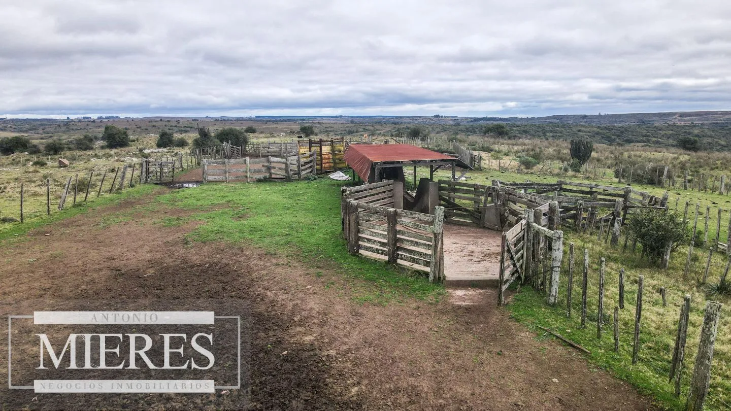 Estancia completa de 2400ha en Treinta y Tres y Cerro Largo — foto 22