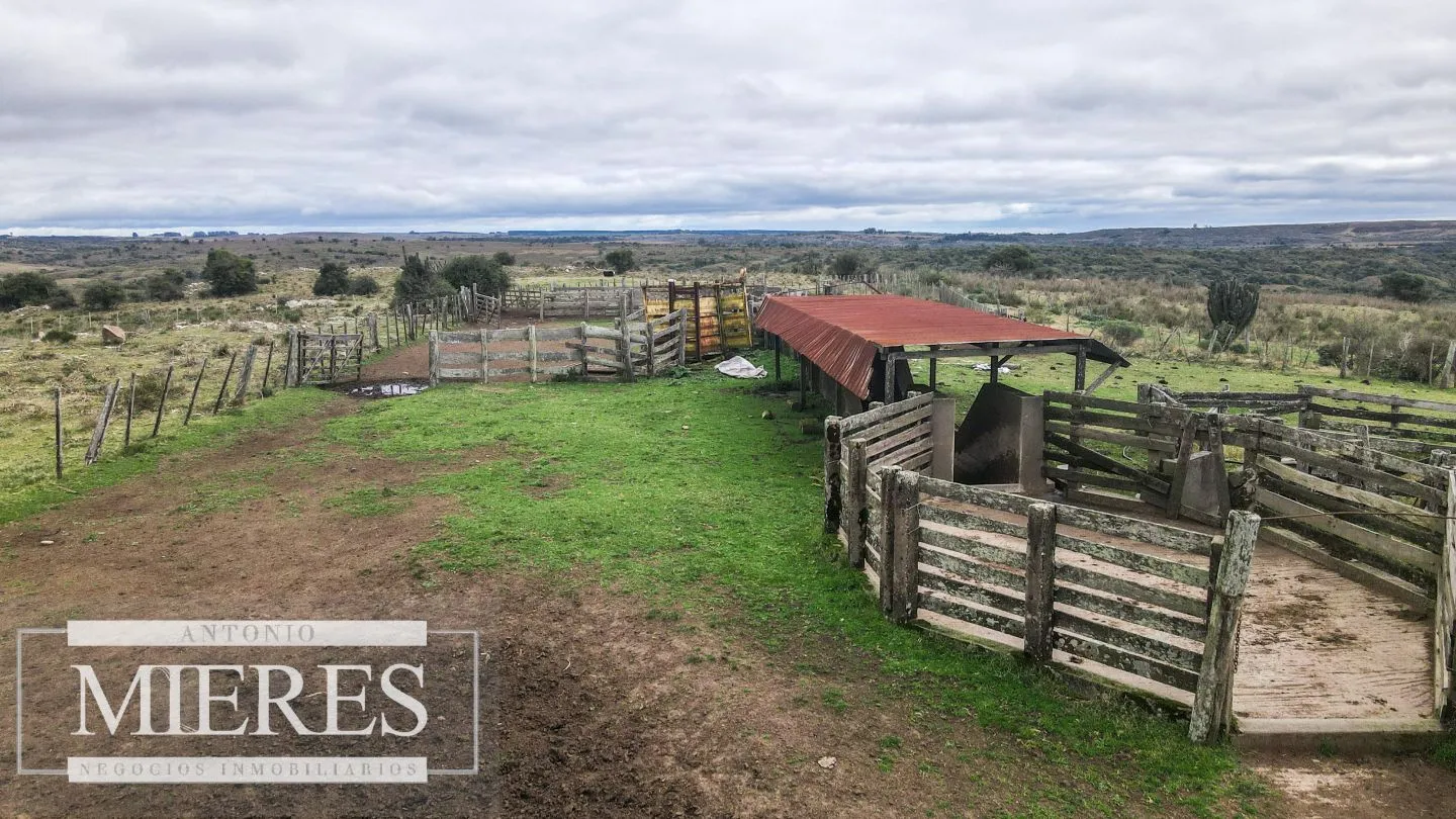 Estancia completa de 2400ha en Treinta y Tres y Cerro Largo — foto 23