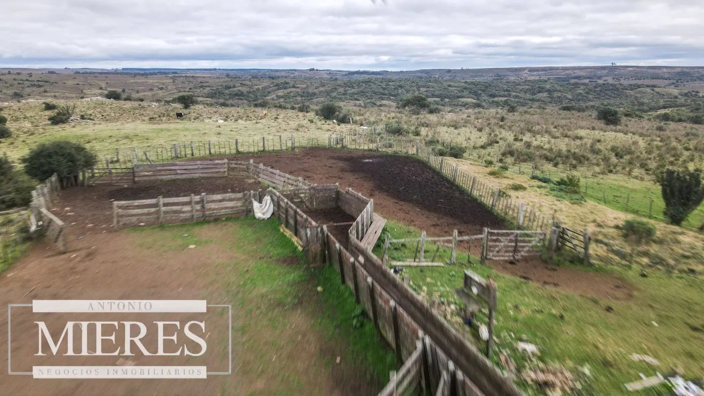 Estancia completa de 2400ha en Treinta y Tres y Cerro Largo — foto 24