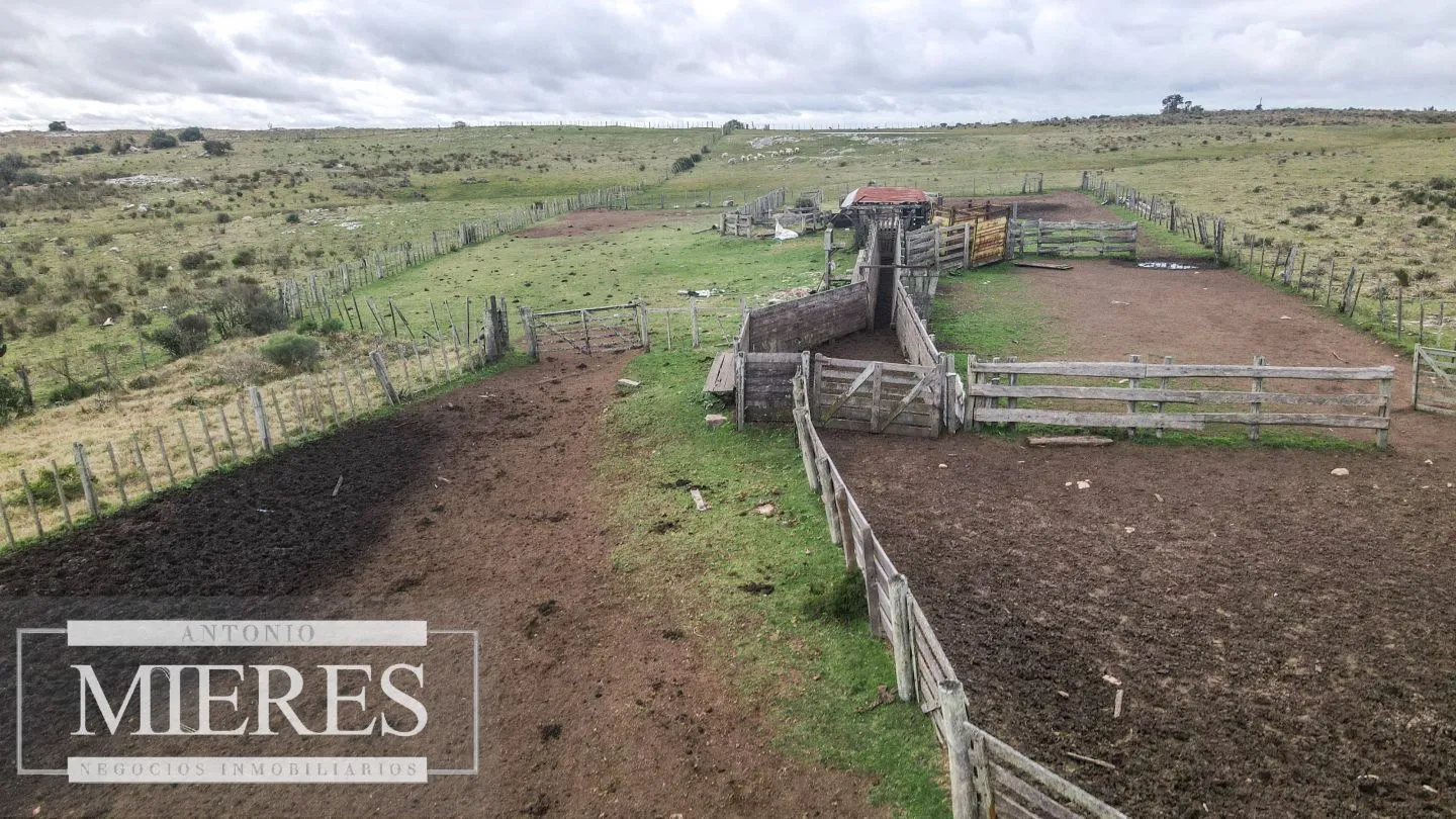 Estancia completa de 2400ha en Treinta y Tres y Cerro Largo — foto 25