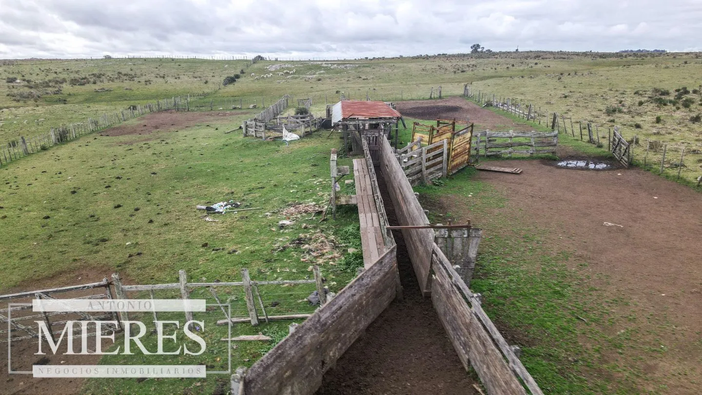 Estancia completa de 2400ha en Treinta y Tres y Cerro Largo — foto 26