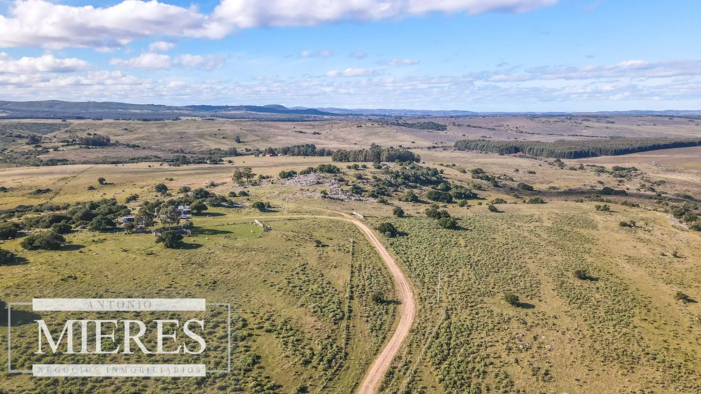 Campo en venta de 34 ha Pan de Azúcar, Maldonado. — foto 1