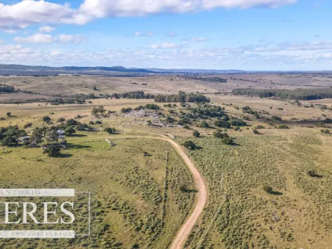 Campo en venta de 34 ha Pan de Azúcar, Maldonado.