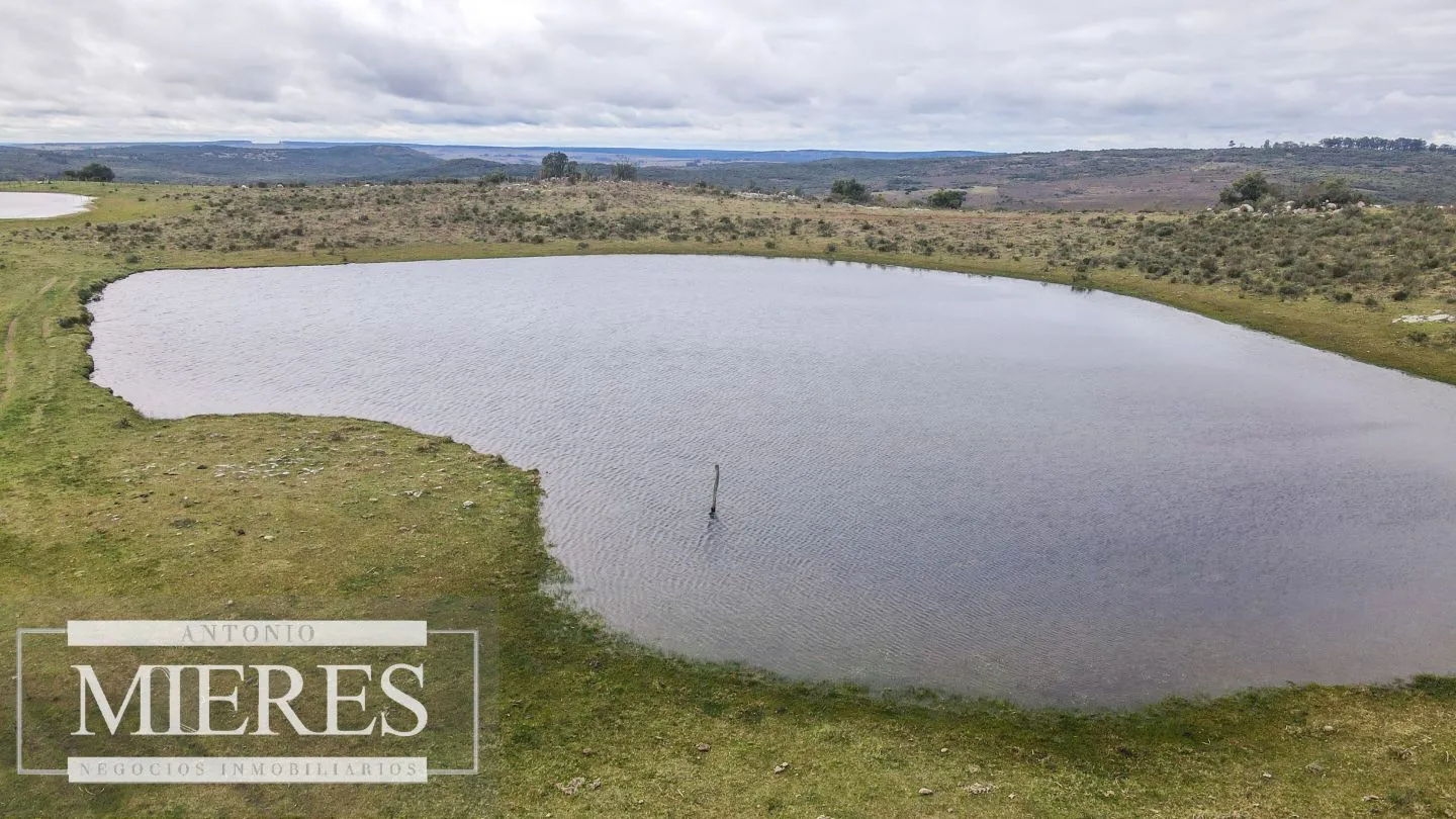 Estancia completa de 2400ha en Treinta y Tres y Cerro Largo — foto 27