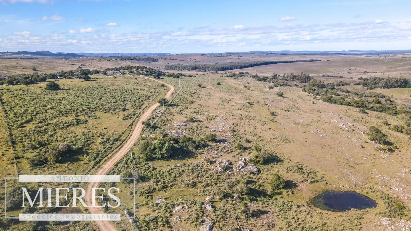 Campo en venta de 34 ha Pan de Azúcar, Maldonado. — foto 2