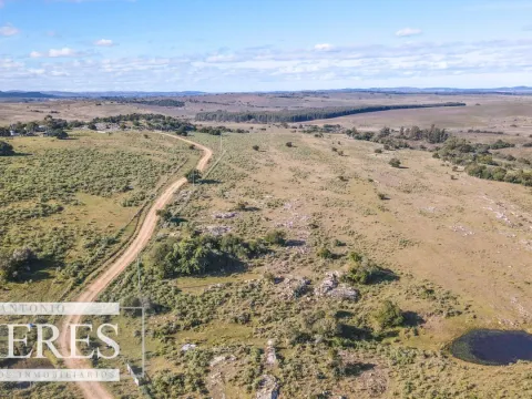 Campo en venta de 34 ha Pan de Azúcar, Maldonado. — foto 2