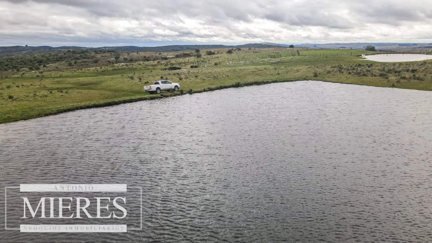 Estancia completa de 2400ha en Treinta y Tres y Cerro Largo — foto 28