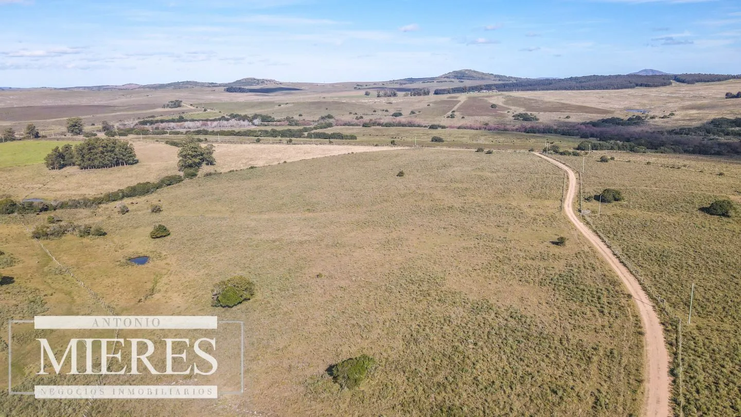 Campo en venta de 34 ha Pan de Azúcar, Maldonado. — foto 3