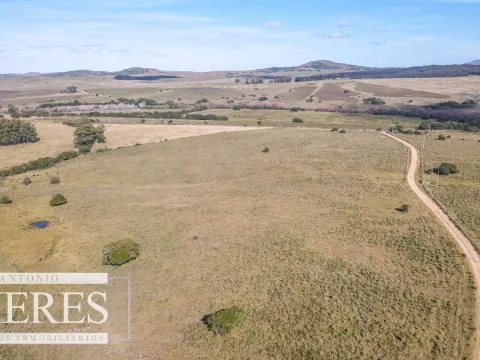 Campo en venta de 34 ha Pan de Azúcar, Maldonado. — foto 3